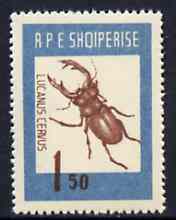 Albania 1963 Lucanus cervus 1L50 from Insects set unmounted mint, Mi 736, stamps on , stamps on  stamps on insects