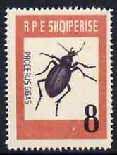 Albania 1963 Procerus gigas 8L from Insects set unmounted mint, Mi 737, stamps on insects