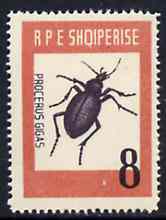 Albania 1963 Procerus gigas 8L from Insects set unmounted mint, Mi 737, stamps on , stamps on  stamps on insects