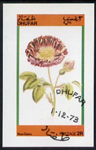 Dhufar 1973 Flowers (Rosa Galica) imperf souvenir sheet (2R value) cto used, stamps on flowers       roses