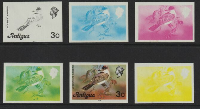 Antigua 1976 Loggerhead Kingbird 3c (with imprint) set of 6 imperf progressive colour proofs comprising the 4 basic colours, blue & yellow composite plus all 4 colours (as SG 472B) unmounted mint, stamps on , stamps on  stamps on birds