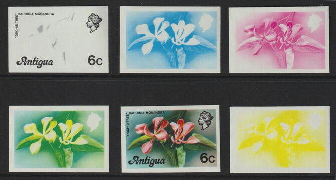 Antigua 1976 Orchid Tree 6c (without imprint) set of 5 imperf progressive colour proofs comprising the 4 basic colours plus blue & yellow composite unmounted mint (as SG ...