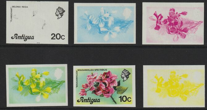 Antigua 1976 Flamboyant 20c (with imprint) set of 6 imperf progressive colour proofs comprising the 4 basic colours, blue & yellow composite plus all 4 colours (as SG 478B) unmounted mint, stamps on , stamps on  stamps on flowers, stamps on  stamps on trees, stamps on  stamps on 