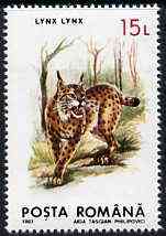 Rumania 1993 Lynx from Protected Animals set of 6 unmounted mint, SG 5528, Mi 4896*, stamps on , stamps on  stamps on animals    lynx     cats