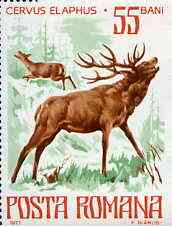 Rumania 1977 Deer from Endangered Animals set unmounted mint, SG 4284, Mi 3417*, stamps on animals    deer