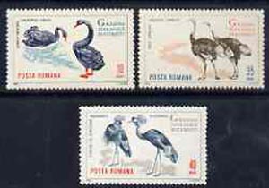 Rumania 1964 Birds set of 3 values from Bucharest Zoo set unmounted mint, SG 3198-3200,  Mi 2331-33, stamps on birds, stamps on cranes, stamps on swan, stamps on ostrich, stamps on  zoo , stamps on zoos