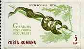 Rumania 1964 Python from Bucharest Zoo set, SG 3197,  Mi 2330 unmounted mint, stamps on reptiles, stamps on snakes, stamps on  zoo , stamps on zoos, stamps on snake, stamps on snakes, stamps on 