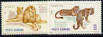 Rumania 1964 Big Cats set of 2 values from Bucharest Zoo set, SG 3201-02,  Mi 2334-35, stamps on animals, stamps on cats, stamps on lion, stamps on tiger, stamps on  zoo , stamps on zoos, stamps on tigers