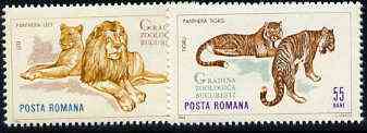 Rumania 1964 Big Cats set of 2 values from Bucharest Zoo set, SG 3201-02,  Mi 2334-35, stamps on , stamps on  stamps on animals, stamps on  stamps on cats, stamps on  stamps on lion, stamps on  stamps on tiger, stamps on  stamps on  zoo , stamps on  stamps on zoos, stamps on  stamps on tigers