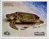 Pakistan 1981 Wildlife Protection (6th Series) 40p Green Turtle unmounted mint, SG 560*, stamps on reptiles, stamps on turtles