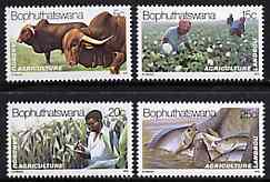 Bophuthatswana 1979 Agriculture set of 4 unmounted mint, SG 51-54*, stamps on , stamps on  stamps on agriculture, stamps on  stamps on cattle, stamps on  stamps on cotton, stamps on  stamps on maize, stamps on  stamps on fishing