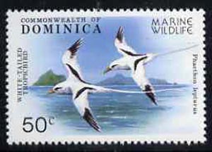 Dominica 1979 Tropic Bird 50c unmounted mint from Marine Wildlife set, SG 662*, stamps on birds, stamps on tropic