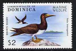 Dominica 1979 Brown Booby $2 unmounted mint from Marine Wildlife set, SG 665*, stamps on , stamps on  stamps on birds, stamps on  stamps on booby