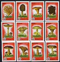 Match Box Labels - complete set of 12 Fungi (red background), superb unused condition (Yugoslavian), stamps on fungi