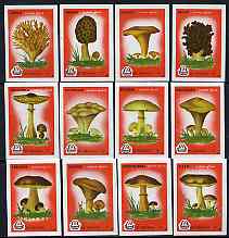 Match Box Labels - complete set of 12 Fungi (red background), superb unused condition (Yugoslavian), stamps on , stamps on  stamps on fungi