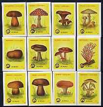 Match Box Labels - complete set of 12 Fungi (yellow background), superb unused condition (Yugoslavian), stamps on , stamps on  stamps on fungi