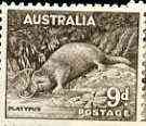 Australia 1956 Platypus 9d from no wmk def set unmounted mint, SG 230c*, stamps on platypus    animals , stamps on  kg6 , stamps on 