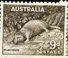 Australia 1956 Platypus 9d from no wmk def set unmounted mint, SG 230c*, stamps on , stamps on  stamps on platypus    animals , stamps on  stamps on  kg6 , stamps on  stamps on 