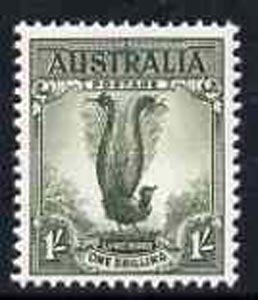 Australia 1948-56 Lyrebird 1s from no wmk def set unmounted mint, SG 230d*, stamps on lyre birds, stamps on  kg6 , stamps on 