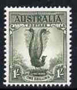 Australia 1948-56 Lyrebird 1s from no wmk def set unmounted mint, SG 230d*, stamps on lyre birds, stamps on  kg6 , stamps on 