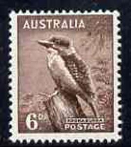 Australia 1948-56 Kookaburra 6d from no wmk def set unmounted mint, SG 230b*, stamps on kookaburra     birds, stamps on  kg6 , stamps on 