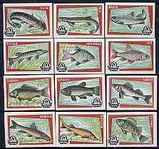 Match Box Labels - complete set of 12 Fish, superb unused condition (Yugoslavian Drava series), stamps on fish