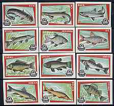 Match Box Labels - complete set of 12 Fish, superb unused condition (Yugoslavian Drava series), stamps on , stamps on  stamps on fish