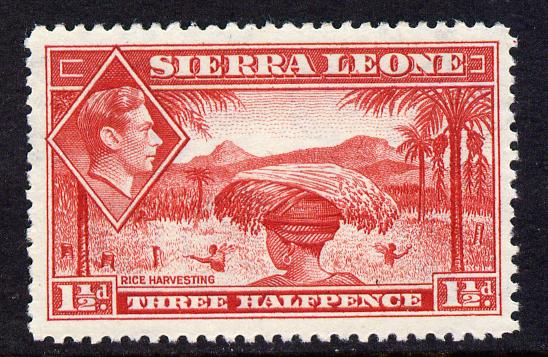Sierra Leone 1938-44 KG6 Rice Harvesting 1.5d scarlet unmounted mint SG 190, stamps on , stamps on  kg6 , stamps on rice, stamps on food, stamps on agriculture
