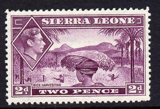 Sierra Leone 1938-44 KG6 Rice Harvesting 2d mauve unmounted mint SG 191, stamps on , stamps on  kg6 , stamps on rice, stamps on food, stamps on agriculture