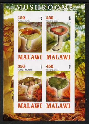 Malawi 2013 Fungi #1 imperf sheetlet containing 4 values unmounted mint, stamps on , stamps on  stamps on fungi