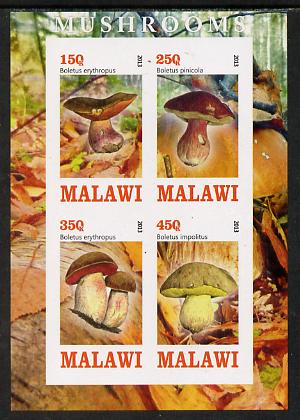 Malawi 2013 Fungi #2 imperf sheetlet containing 4 values unmounted mint, stamps on , stamps on  stamps on fungi