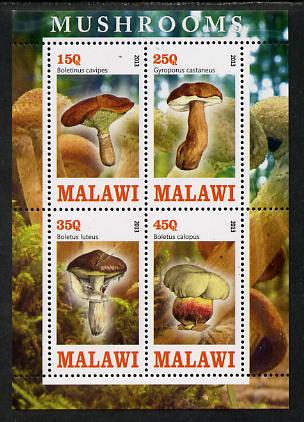 Malawi 2013 Fungi #3 perf sheetlet containing 4 values unmounted mint, stamps on fungi