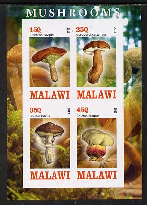 Malawi 2013 Fungi #3 imperf sheetlet containing 4 values unmounted mint, stamps on fungi