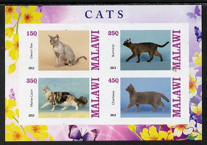 Malawi 2013 Domestic Cats #1 imperf sheetlet containing 4 values unmounted mint, stamps on , stamps on  stamps on cats