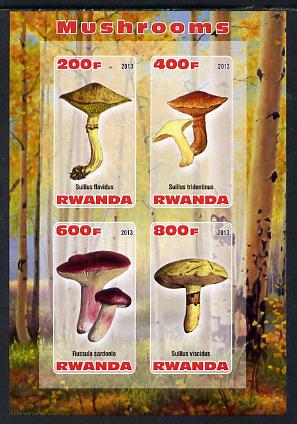 Rwanda 2013 Fungi #2 imperf sheetlet containing 4 values unmounted mint, stamps on , stamps on  stamps on fungi