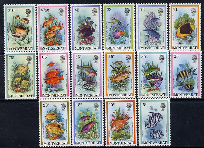 Montserrat 1981 Fish definitive set complete 16 values unmounted mint SG 490-505, stamps on , stamps on  stamps on fish