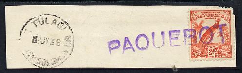 New Guinea used in Solomon Islands - 2d adhesive on piece postmarked Tulagi 8 JY 38, stamp tied by straight line PAQUEBOT handstamp, stamps on , stamps on  stamps on new guinea used in solomon islands - 2d adhesive on piece postmarked tulagi 8 jy 38, stamps on  stamps on  stamp tied by straight line paquebot handstamp