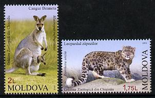 Moldova 2013 Zoo Animals - perf set of 2 values unmounted mint, stamps on animals, stamps on kangaroos, stamps on leopards, stamps on cats