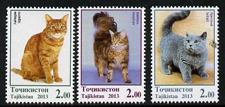 Tadjikistan 2013 Domestic Cats perf set of 3 values unmounted mint, stamps on , stamps on cats
