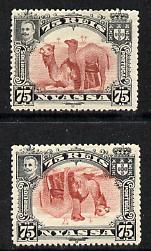 Nyassa Company 1901 Dromedaries 75r with inverted centre plus normal both mounted mint, SG 34a, stamps on , stamps on  stamps on animals, stamps on  stamps on camels