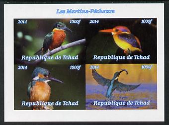 Chad 2014 Kingfishers imperf sheetlet containing 4 values unmounted mint. Note this item is privately produced and is offered purely on its thematic appeal. . , stamps on birds, stamps on kingfishers