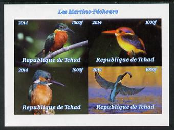 Chad 2014 Kingfishers imperf sheetlet containing 4 values unmounted mint. Note this item is privately produced and is offered purely on its thematic appeal. . , stamps on , stamps on  stamps on birds, stamps on  stamps on kingfishers