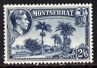 Montserrat 1938-48 Botanic Station 2s6d slate-blue P13 unmounted mint, SG 109, stamps on , stamps on  kg6 , stamps on botanical