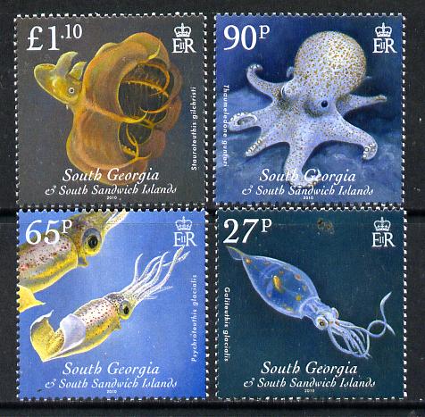 South Georgia & the South Sandwich Islands 2010 Cephalopods perf set of 4 unmounted mint SG 487-90, stamps on , stamps on  stamps on marine life, stamps on  stamps on squid