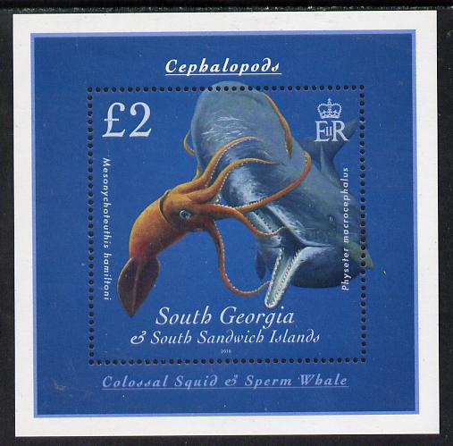 South Georgia & the South Sandwich Islands 2010 Cephalopods perf m/sheet unmounted mint SG MS491, stamps on , stamps on  stamps on marine life, stamps on  stamps on squid, stamps on  stamps on whales
