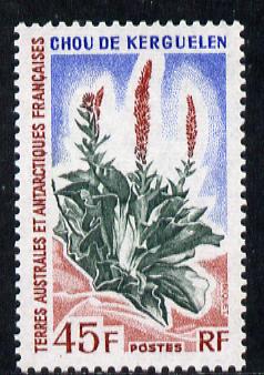 French Southern & Antarctic Territories 1962-72 Kerguelen Cabbage 45f unmounted mint SG 32, stamps on polar, stamps on food