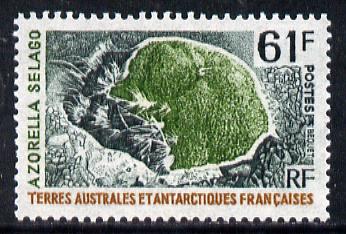 French Southern & Antarctic Territories 1973 Plants - Azorella selago 61f unmounted mint SG 83, stamps on polar, stamps on plants