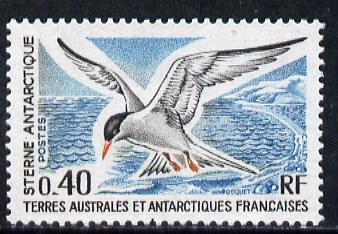 French Southern & Antarctic Territories 1976 Swallow-Tailed Tern 40c unmounted mint SG 98, stamps on polar, stamps on birds