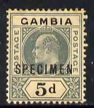 Gambia 1904-06 KE7 MCA 5d overprinted SPECIMEN with gum but overall toning SG 63s (only about 750 produced), stamps on , stamps on  ke7 , stamps on 
