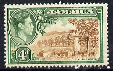 Jamaica 1938-52 KG6 Citrus Grove 4d brown & green unmounted mint, SG 127, stamps on , stamps on  stamps on , stamps on  stamps on  kg6 , stamps on  stamps on fruit